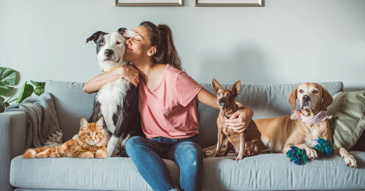 Confira 9 tipos de animais de estimação para apartamento e seus cuidados